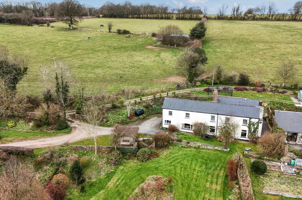 Bampton, Seddons