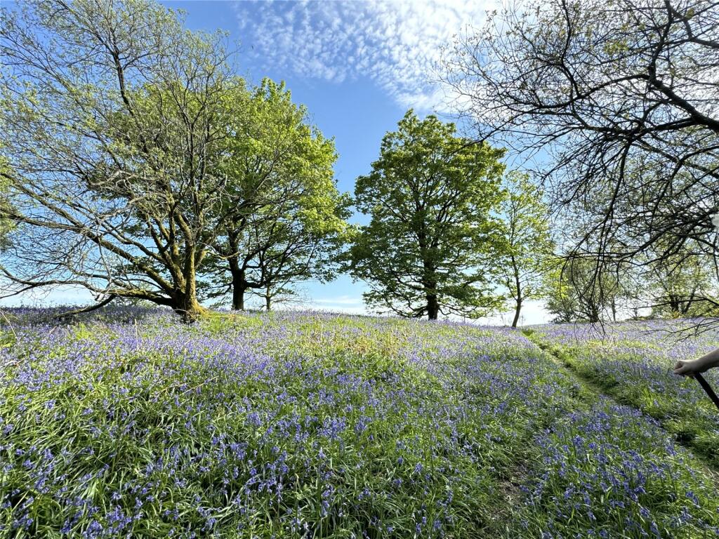 Woodland
