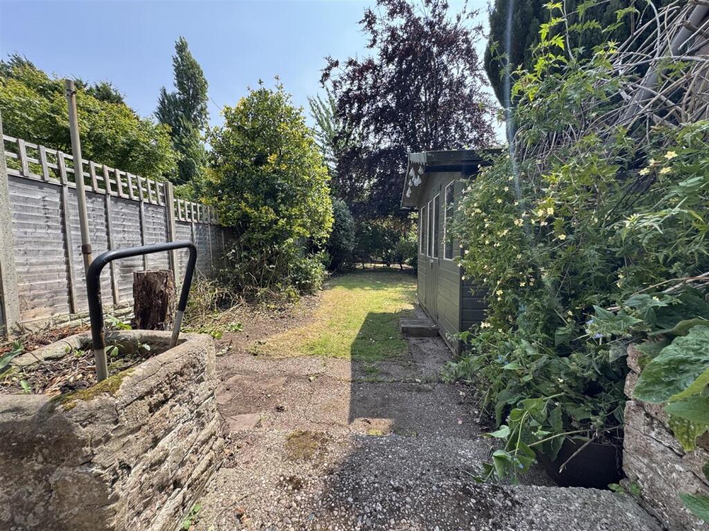 IMG_4409 (Large).JPG