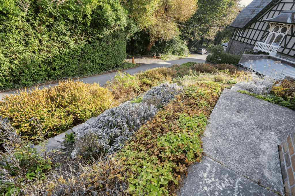 Hengoed Front Garden