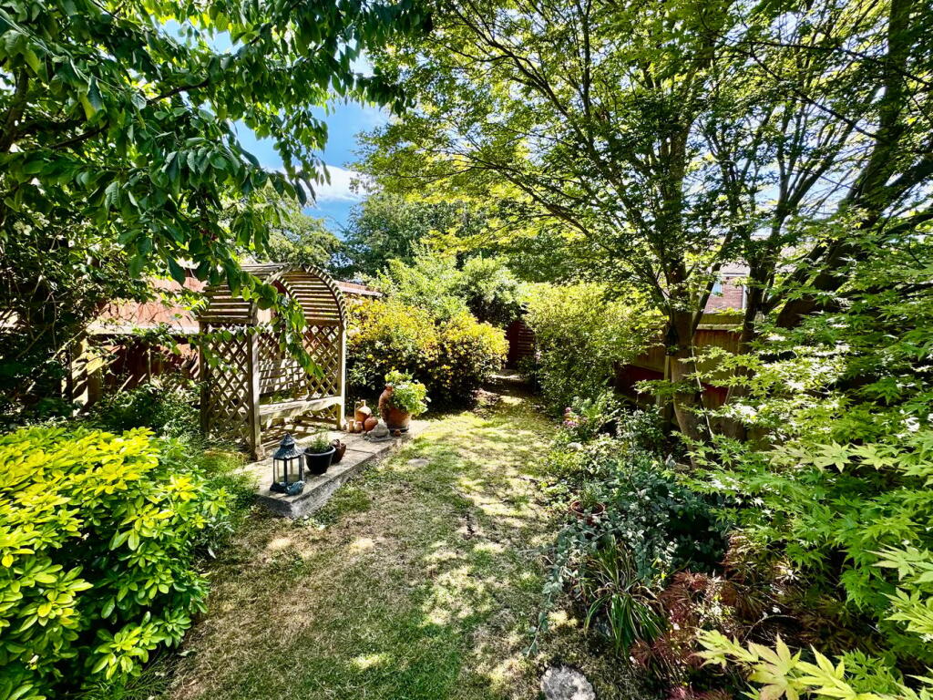 Seating Area / Cherry Tree