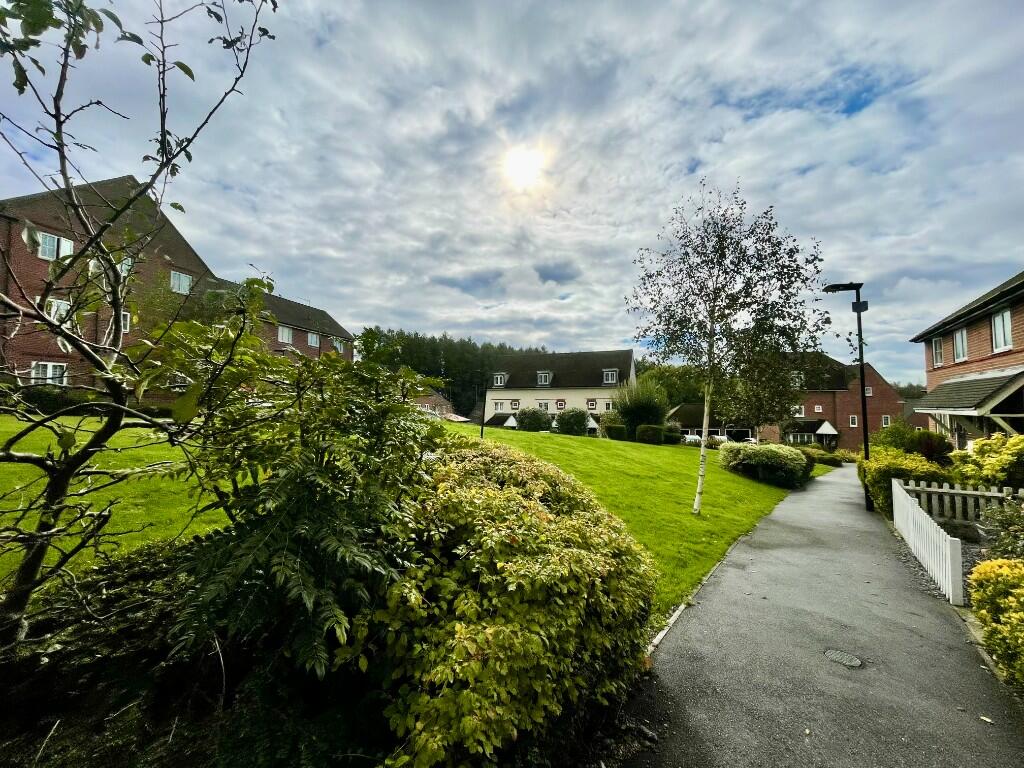 Communal grounds 