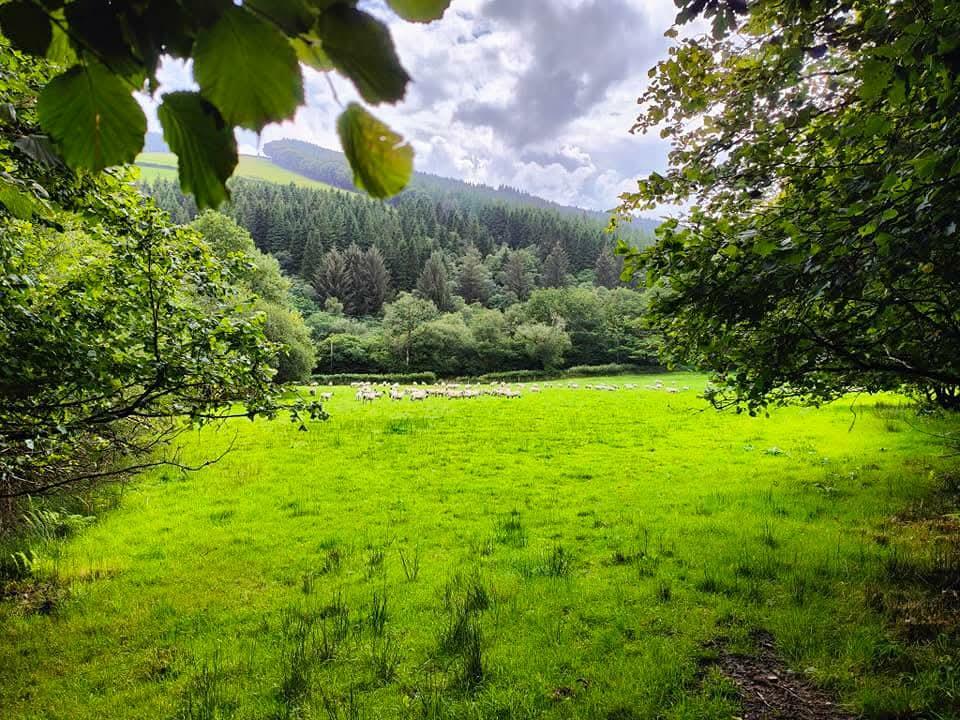 LAND