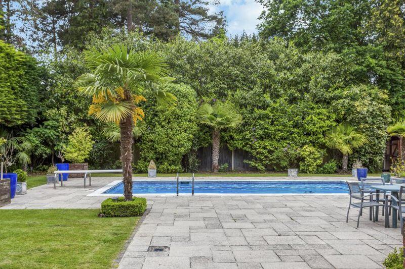 The swimming pool