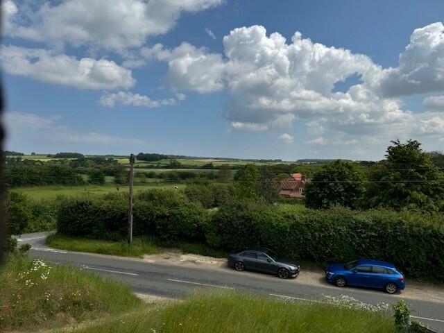 12 (Small) T202407031121.jpg