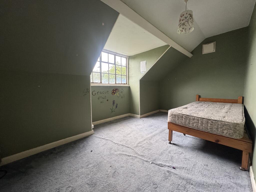 IMG 0842 T202508111314.jpeg