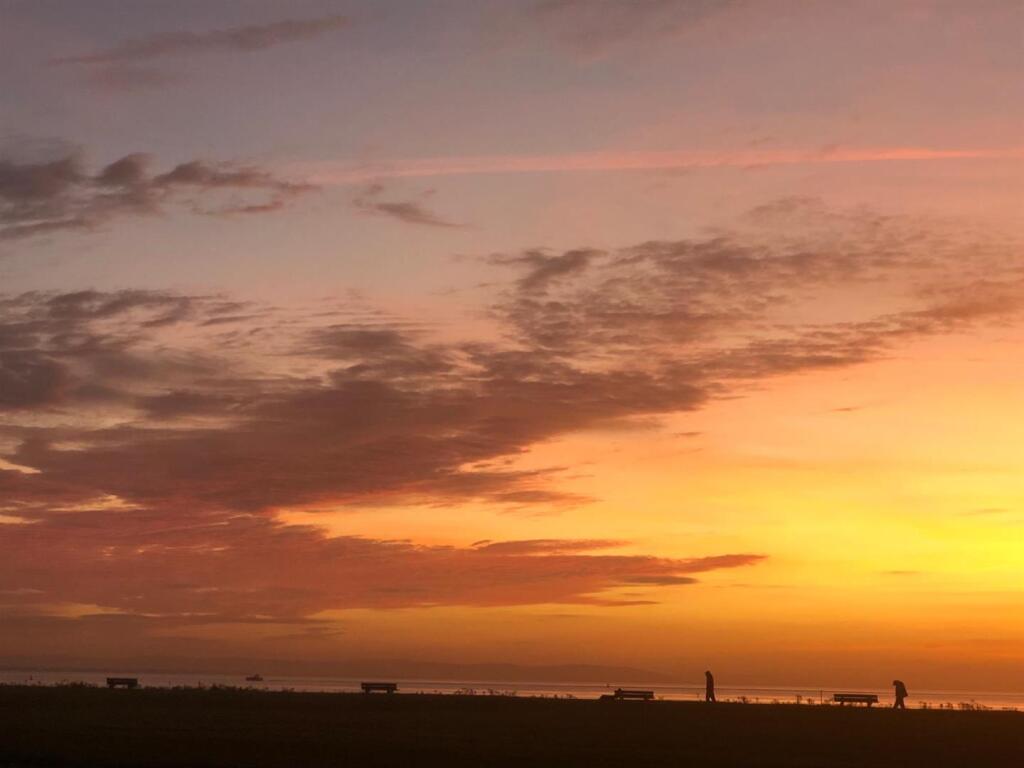 The Serpentine North