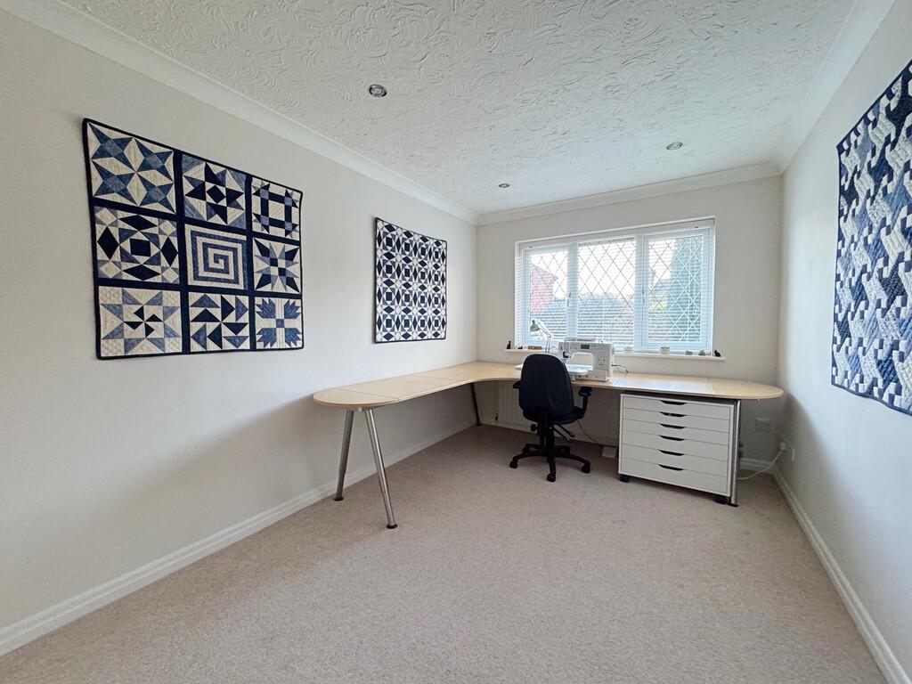 Hobby or Family R...