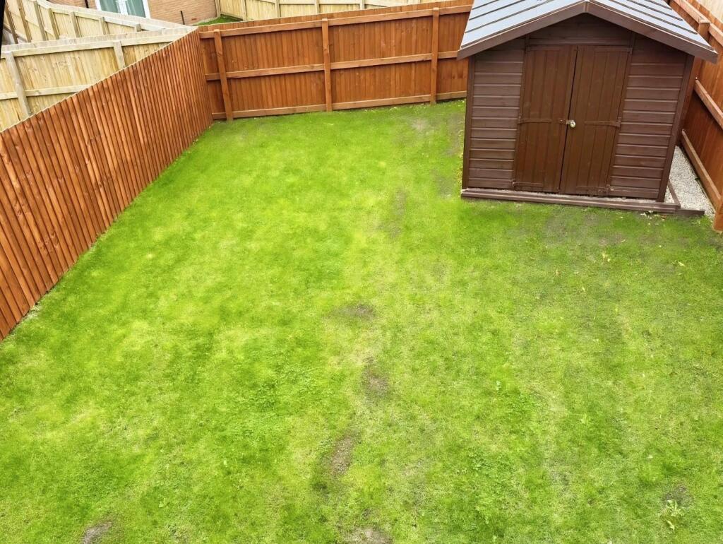 Back Garden
