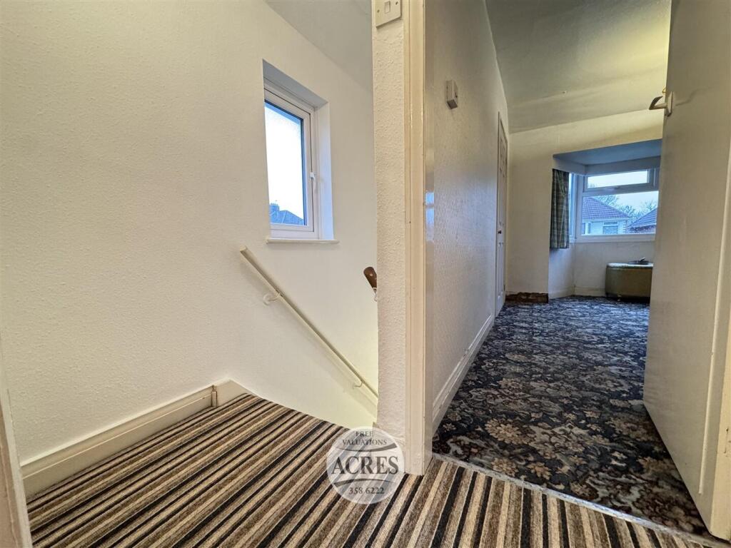 IMG_8004 (Large).jpg