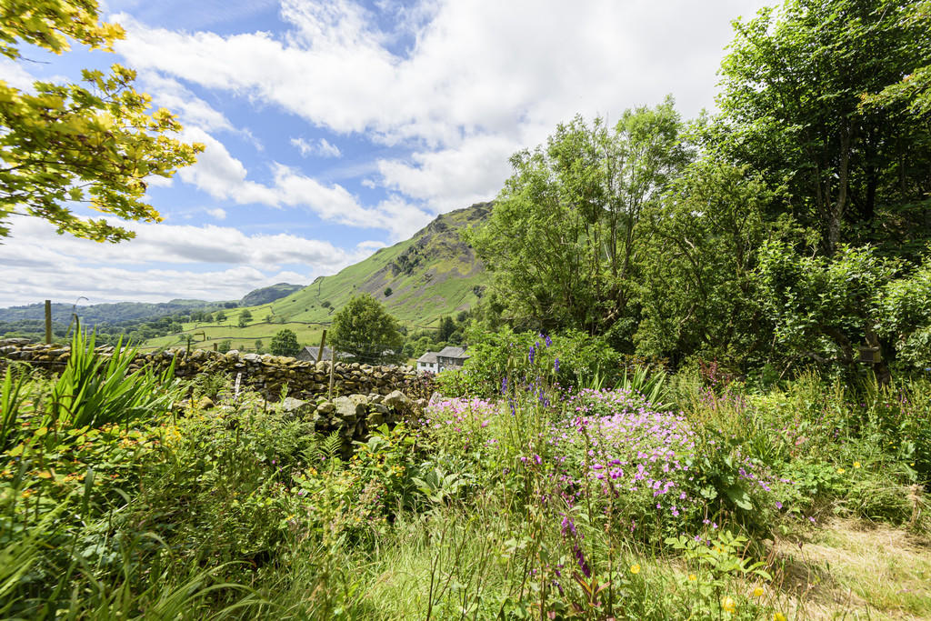 Garden and View