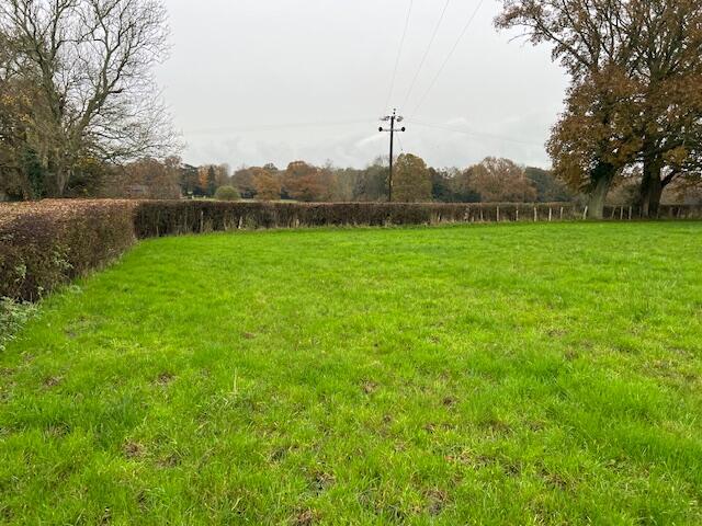 Lot 3
