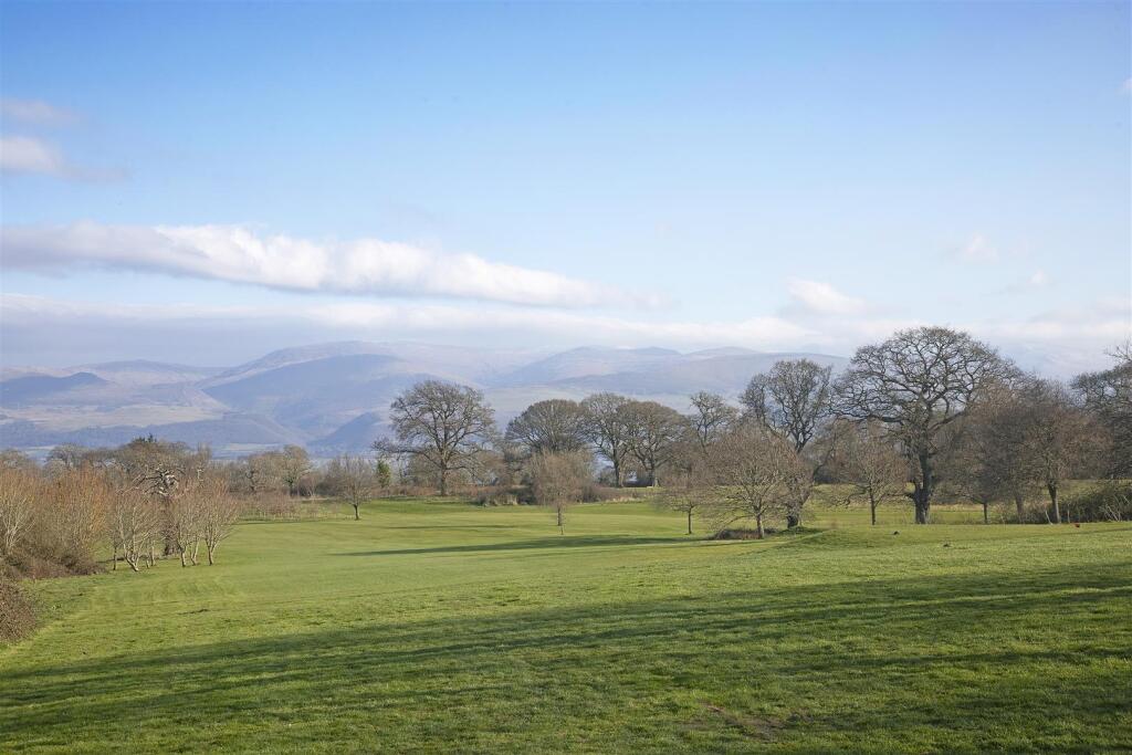 18A69A7138 - Copy.JPG