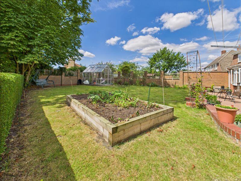 Vegetable garden