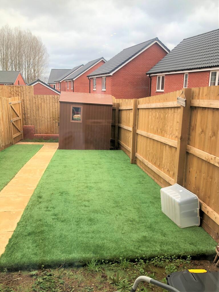 IMG-2699 - rear garden