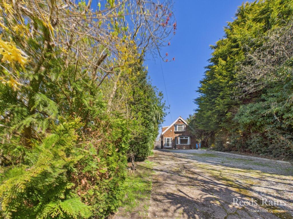Driveway