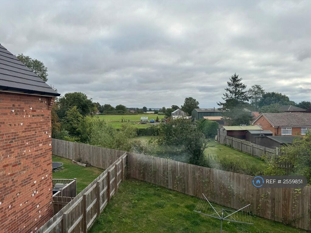 View From Rear Of The House