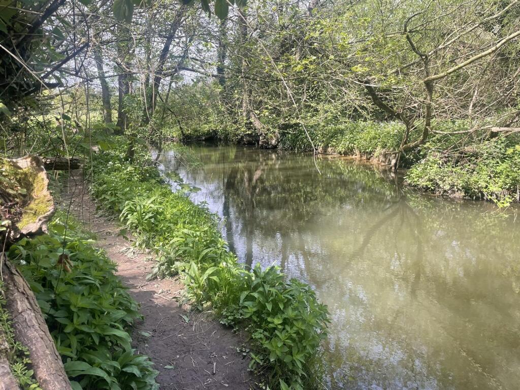 IMG_7580.JPEG