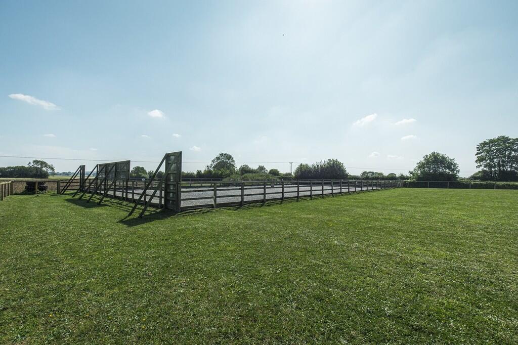 Springfield House...