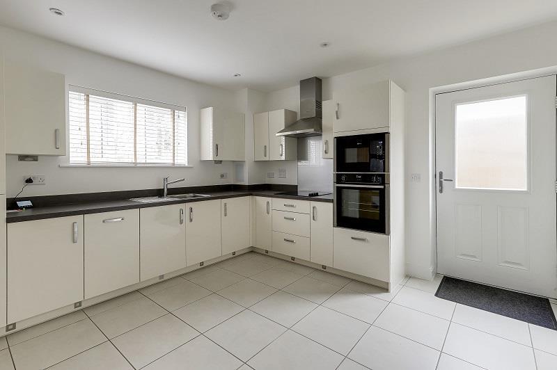 Seymour_1 - Copy.JPG