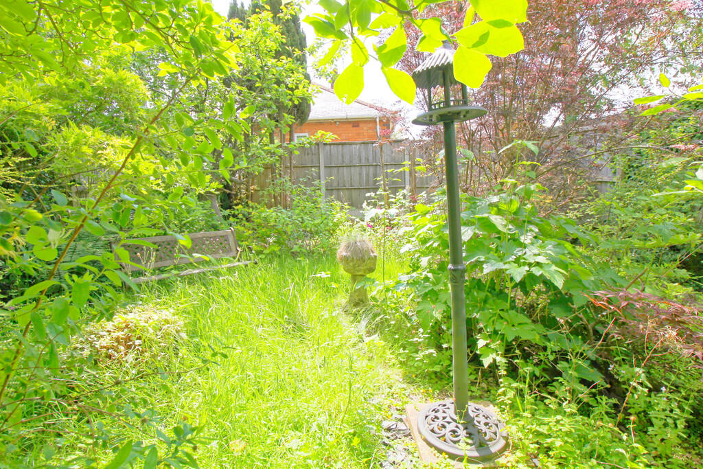 IMG_8703 - Copy_D...