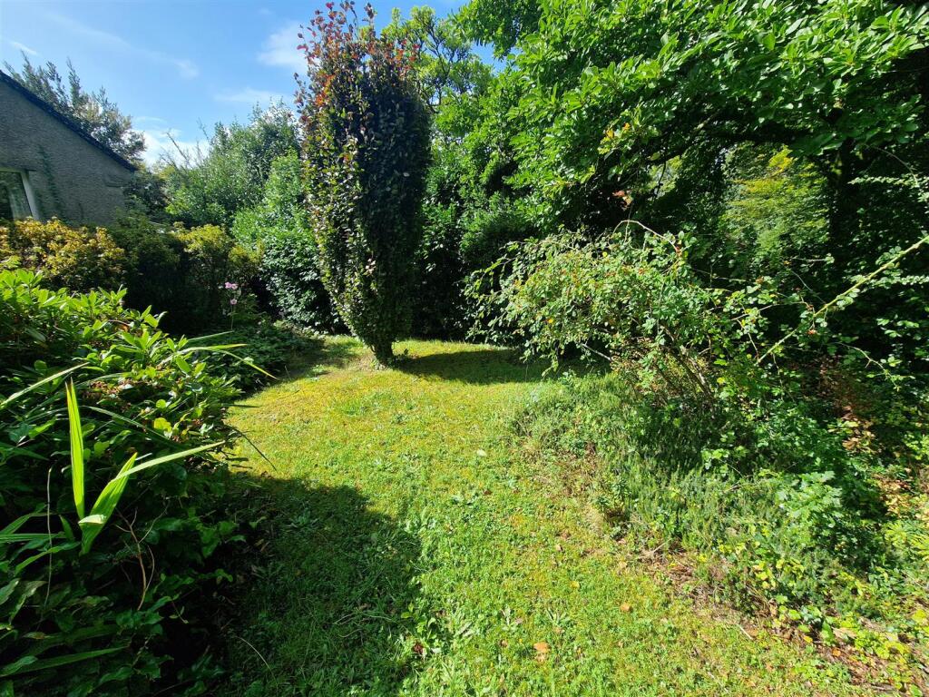Front Garden.jpg