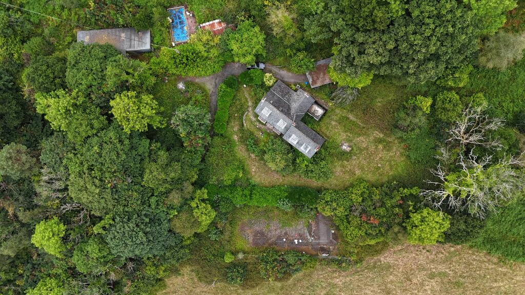 IMG 0919 T202508111315.jpeg