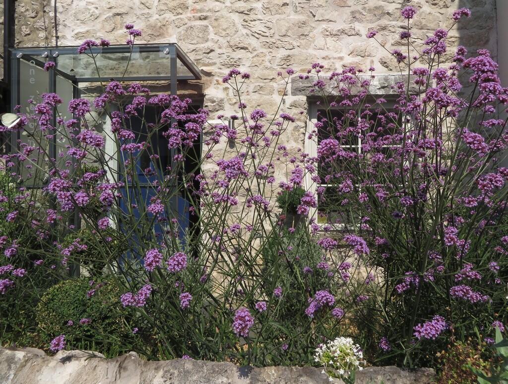 Vendors Garden Ph...