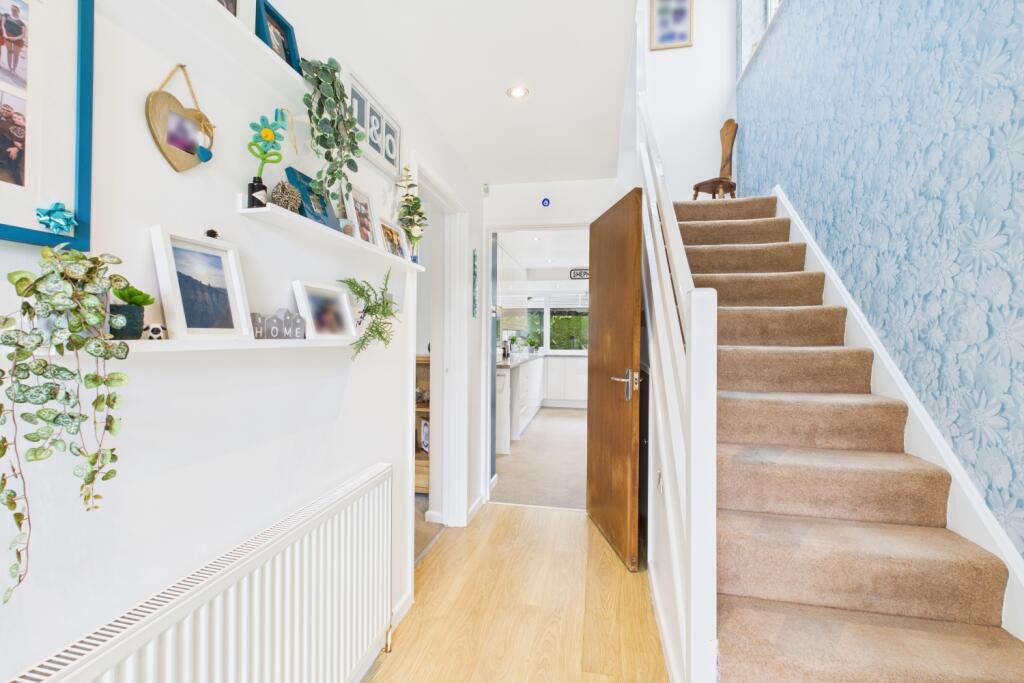 CAM03162G0-PR0244-STILL014