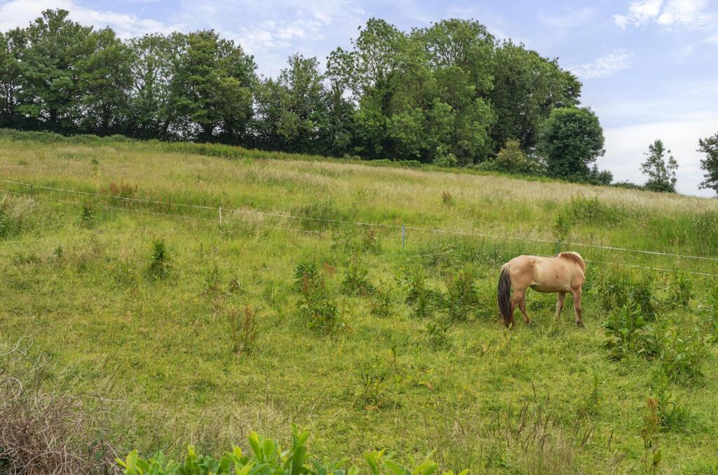 1301327-23-684ae1...