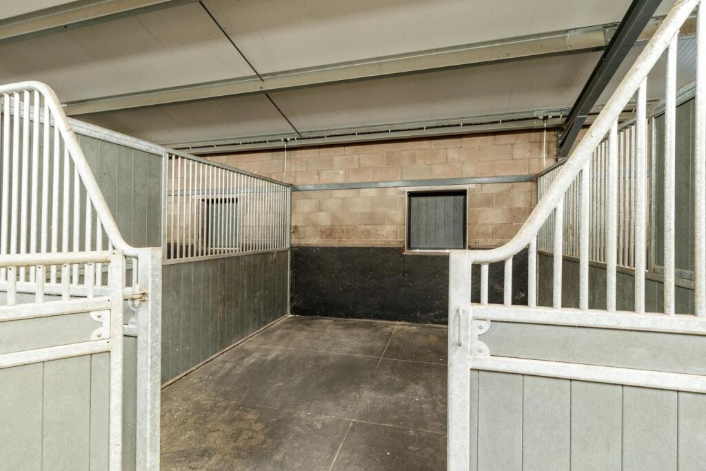 Willowsway Stud,_80-web.jpg