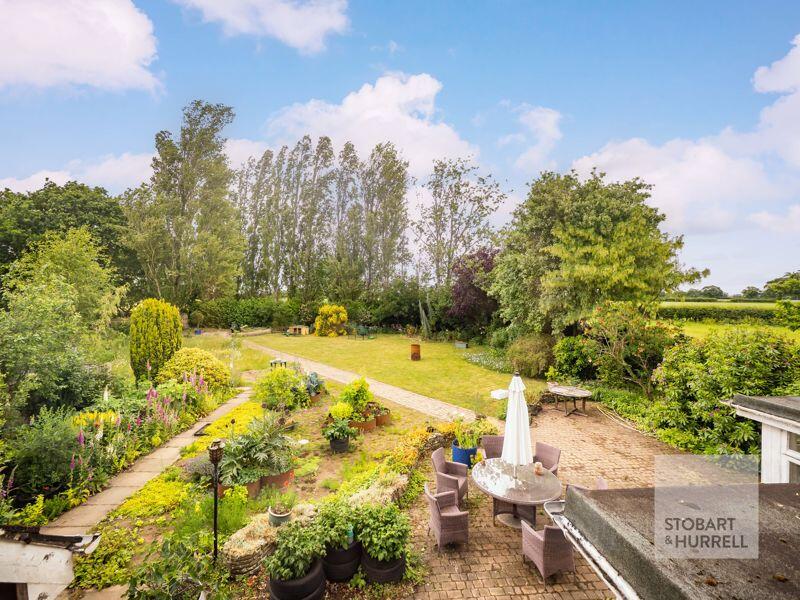 Elevated Rear Outlook