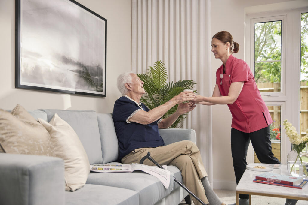 Domestic support and personal care available 