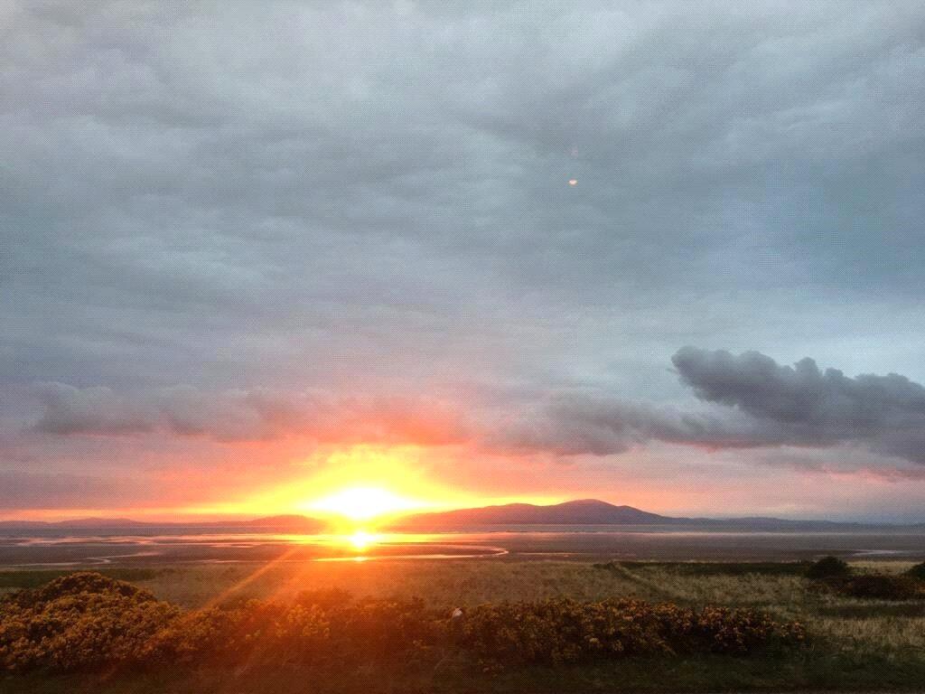 View Over Solway