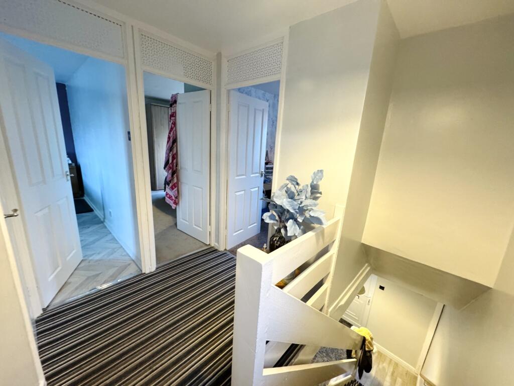 IMG_6534