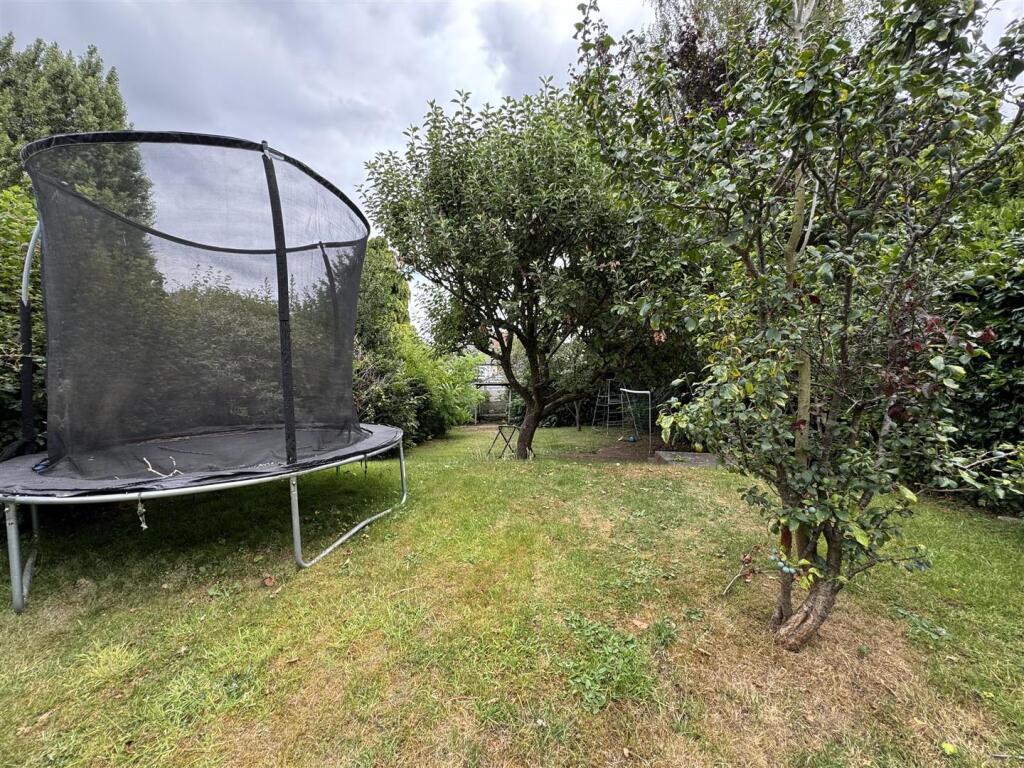 IMG_9606 (Large).JPG