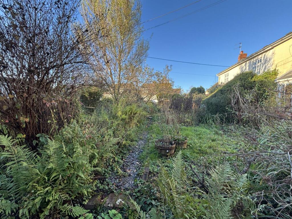 Front garden 2.jpg