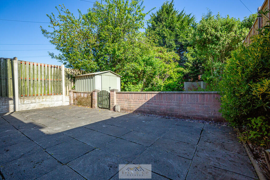 Back garden 1.1