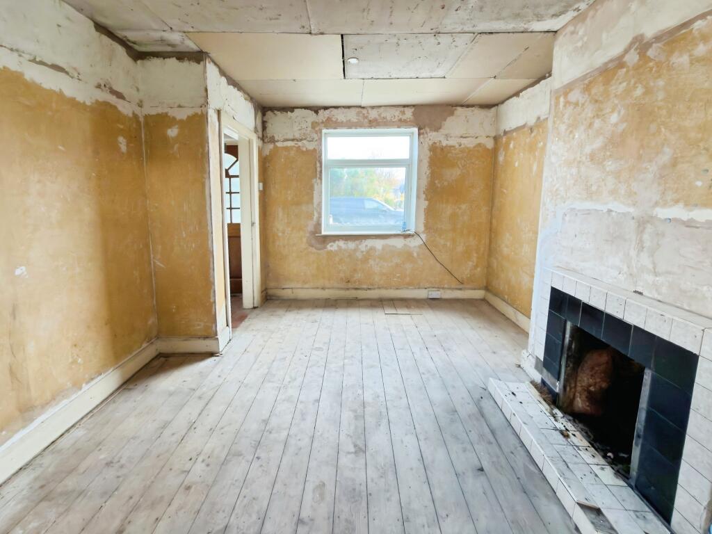 SEIRIOL5 T202511171744.jpg