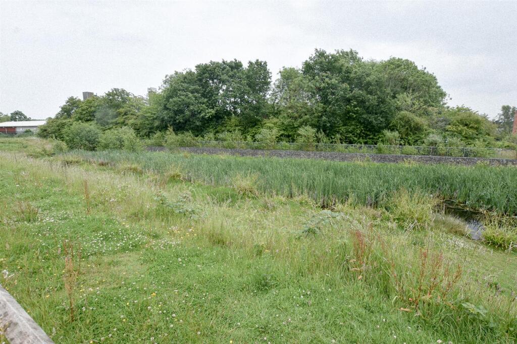 DSC_0019.jpg