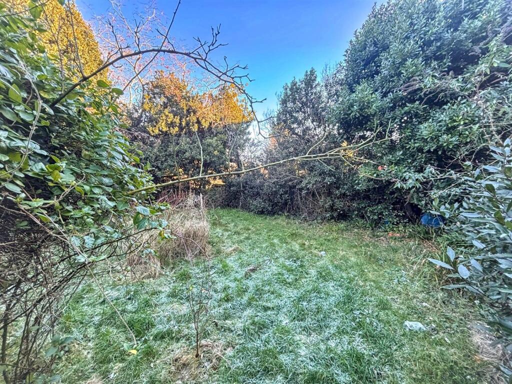 PHOTO-2026-01-05-11-49-00 (4).jpg