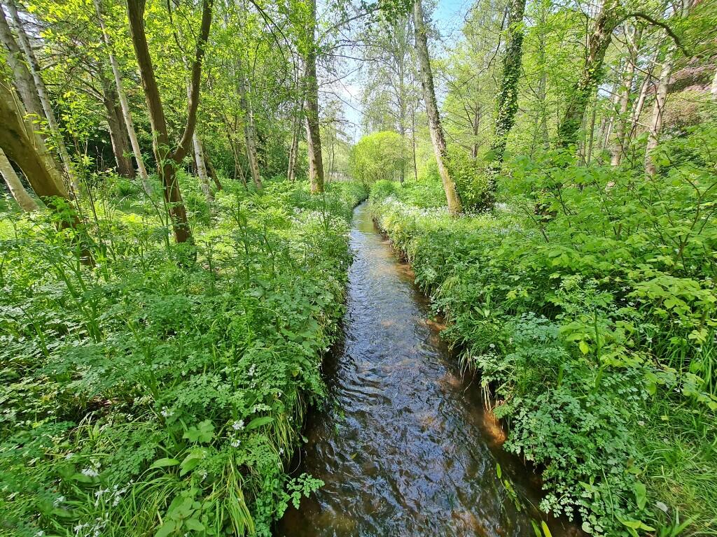 Green Space