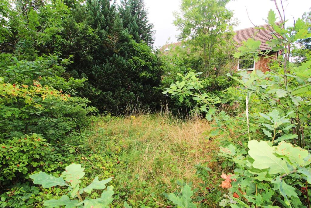 Gardens (1) edit.jpg