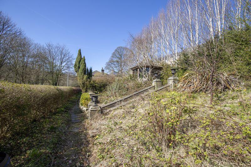Bottom Garden