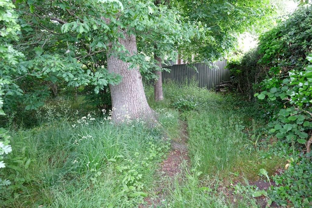WOODS