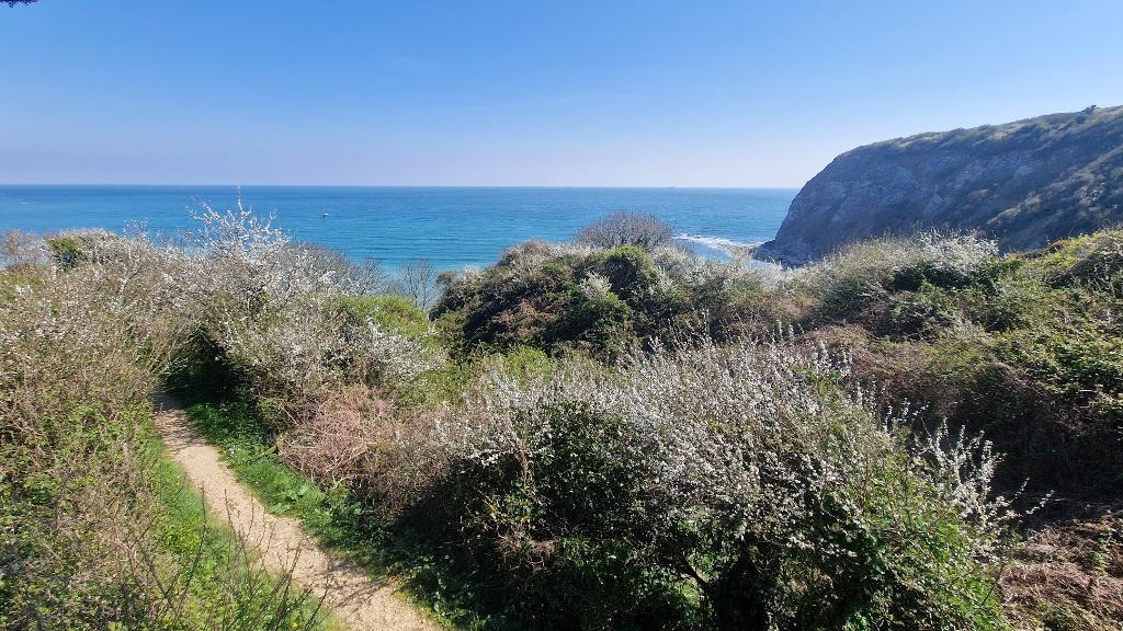 View from Viewing Platform