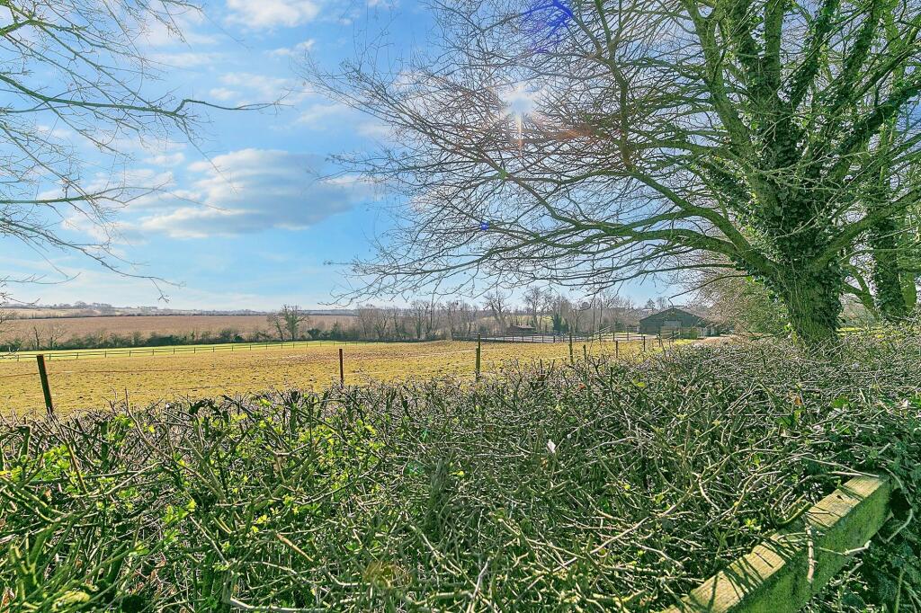 View from Garden