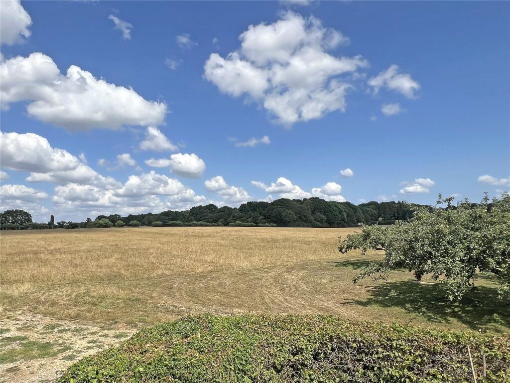 Land and View