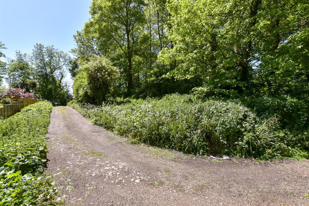 Driveway/Parking