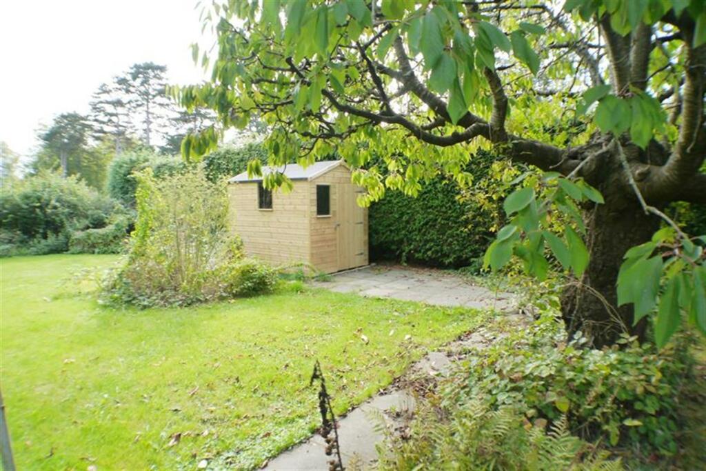 Lrage Rear Garden wi